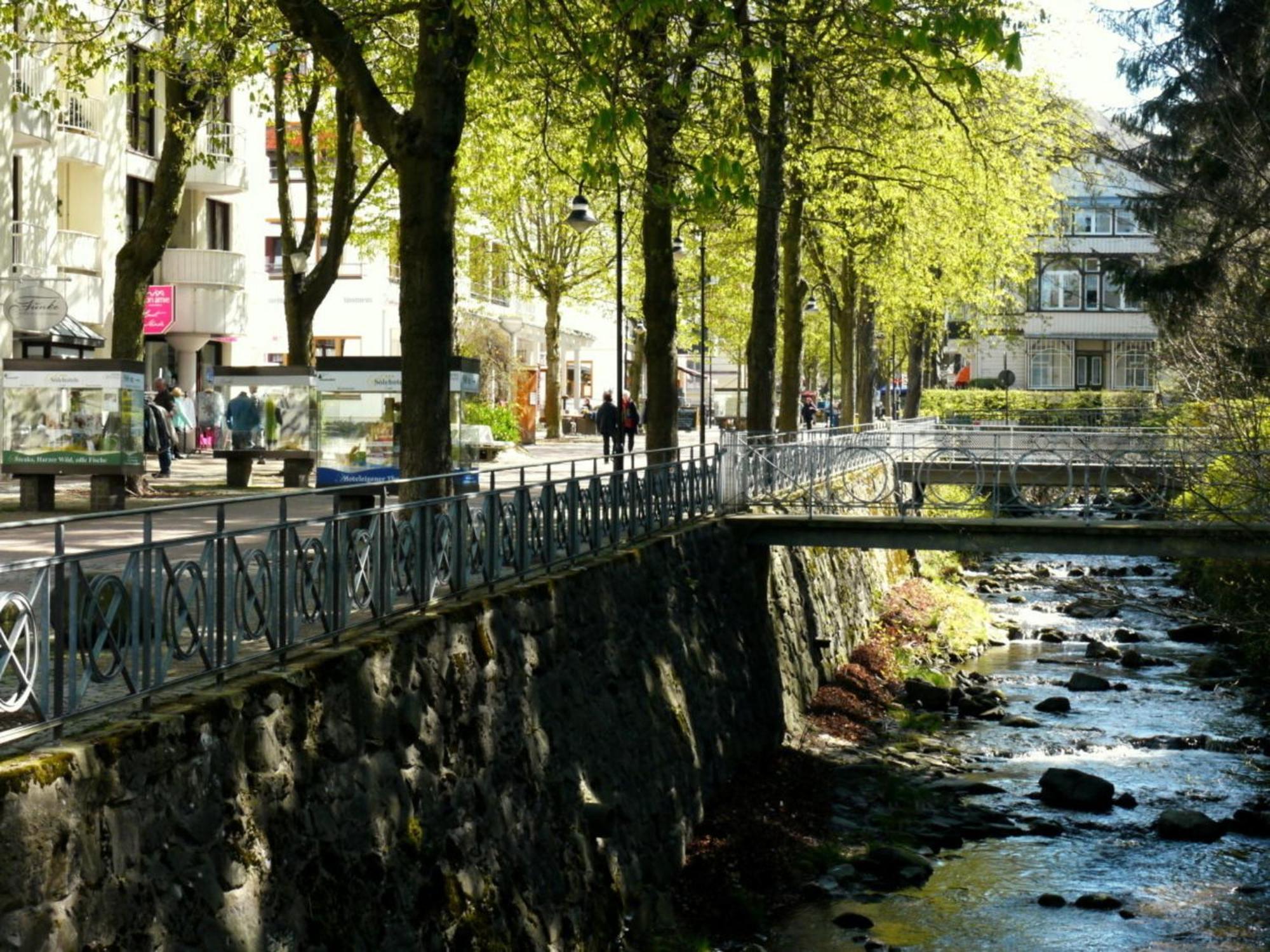 Henning Bad Harzburg Exterior foto